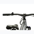 Elektrofahrrad KROSS Hexagon Boost 1.0 522Wh grey/grey/gloss 13
