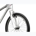 Damen-Mountainbike KROSS Lea 1.0 silver/white/gloss 5