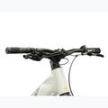 Damen E-Bike KROSS Influx Hyb 1.0 720Wh grey/gold/gloss 4