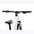 Damen E-Bike KROSS Influx Hyb 1.0 720Wh grey/gold/gloss 5