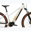 Damen E-Bike KROSS Influx Hyb 1.0 720Wh grey/gold/gloss 12