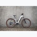 Damen E-Bike KROSS Influx Hyb 1.0 720Wh grey/gold/gloss 14