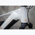 Damen E-Bike KROSS Influx Hyb 1.0 720Wh grey/gold/gloss 16