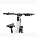 E-Bike KROSS Influx Suv Hyb 1.0 820 el. Grau/Anthrazit/Glanz 5