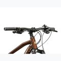 Mountainbike KROSS Hexagon 5.0 29" brown/gold/gloss 4