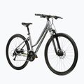 Damen-Crossrad KROSS Evado 3.0 In grey/green/gloss 2