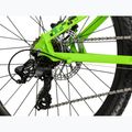 Kinderfahrrad KROSS Dust Jr 1.0 Dsc green/green/gloss 7