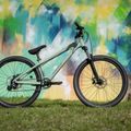 Dirtbike KROSS Spade 1.0 green/silver/gloss 12