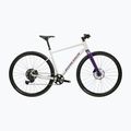 Gravelbike KROSS Esker 1.0 FL grey/purple/gloss