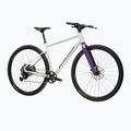 Gravelbike KROSS Esker 1.0 FL grey/purple/gloss 2