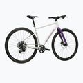 Gravelbike KROSS Esker 1.0 FL grey/purple/gloss 3