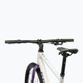 Gravelbike KROSS Esker 1.0 FL grey/purple/gloss 4