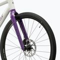 Gravelbike KROSS Esker 1.0 FL grey/purple/gloss 6