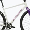 Gravelbike KROSS Esker 1.0 FL grey/purple/gloss 11
