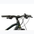 Mountainbike KROSS Hexagon 5.0 29" green/green/gloss 4