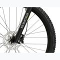 Mountainbike KROSS Hexagon 5.0 29" green/green/gloss 6
