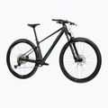 Mountainbike KROSS Level RS 1.0 green/chameleon/gloss 2