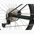 Mountainbike KROSS Level RS 1.0 green/chameleon/gloss 7