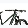 Mountainbike KROSS Level RS 1.0 green/chameleon/gloss 10