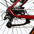 Mountainbike KROSS Hexagon X200 EQ 29" Rubinrot/Anthrazit/Glanz 7
