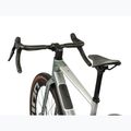 Gravelbike KROSS Esker ADV 3.0 green-gray/silver/matte 4