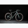 Gravelbike KROSS Esker ADV 3.0 green-gray/silver/matte 14