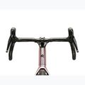Gravelbike KROSS Esker 6.0 chameleon/matte/gloss 4