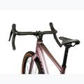 Gravelbike KROSS Esker 6.0 chameleon/matte/gloss 5