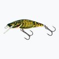 Salmo Bullhead FL Stierkopf-Wobbler QBD001