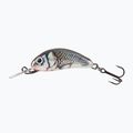Salmo Hornet FL holographischer grauer Shiner Wobbler QHT015