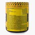 Real Pharm Pre-Workout Unreal 360g schwarze Johannisbeere-Zitrus 700957 3