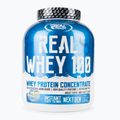 Molke Real Pharm Real 2 25kg Vanille-Johannisbeere 701701