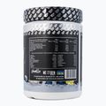 Molke Real Pharm Fusion 600g Vanille-Beere 709202 2