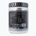 Molke Real Pharm Fusion 600g Schokolade-Minze 709356 2