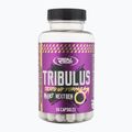 Testosteron-Booster Real Pharm Tribulus 1000mg 60 Kapseln 714053