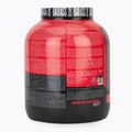 Fitness Authority Isolate Bad Ass Zero 2 kg Kekse mit Sahne 2