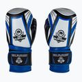 Boxhandschuhe Kinder DBX BUSHIDO ARB-47v1 blau