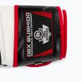 Bushido Naturleder Boxhandschuhe mit Gel-Technologie schwarz B-2v11a-12oz 5