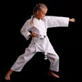 Karategi mit Gürtel für Kinder DBX BUSHIDO ARK-312 weiß 14