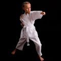 Karategi mit Gürtel für Kinder DBX BUSHIDO ARK-312 weiß 15