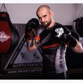 Bushido Boxhandschuhe mit Wrist Protect System schwarz Bb2-12oz 19