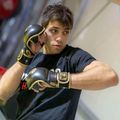Bushido Leder MMA Training Sparring Handschuhe schwarz Arm-2011D-L 13