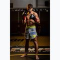 DBX BUSHIDO "Hammer - Rot" Muay Thai Boxhandschuhe schwarz/rot 15