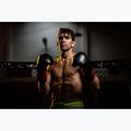 DBX BUSHIDO "Hammer - Rot" Muay Thai Boxhandschuhe schwarz/rot 16