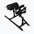 Bizeps-Trainingsgerät THORN FIT GHD-1 gym black