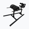 Bizeps-Trainingsgerät THORN FIT GHD-1 gym black 2