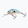 Salmo Hornet FL silber blauer Maifisch Wobbler QHT084