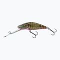 Salmo Bullhead SDR glitzernder Stierkopf-Wobbler QBD017