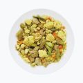 Gefriergetrocknete Lebensmittel LYOFOOD Schweinelende in Dillsauce LF-7531 3