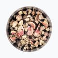 Gefriergetrocknete Lebensmittel LYOFOOD Kokosnuss Haferflocken mit Beeren  Feigen und Chiasamen LF-7616 4
